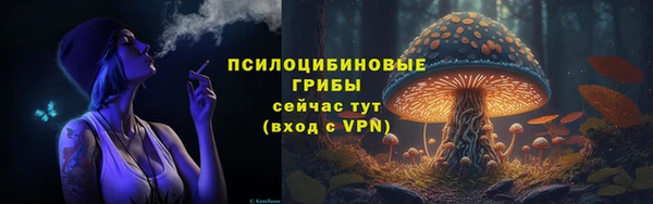 прущая мука Богданович