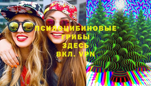 прущая мука Богданович