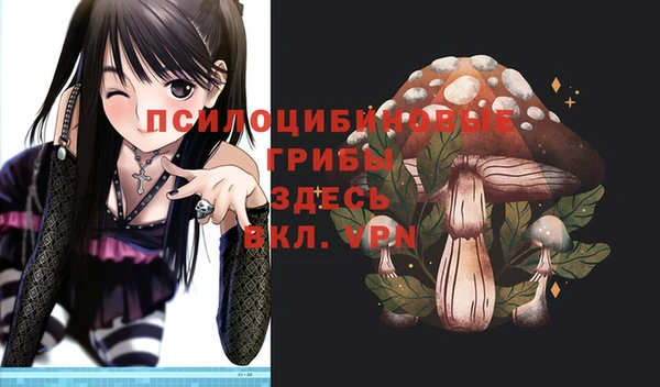мдпв Богородск